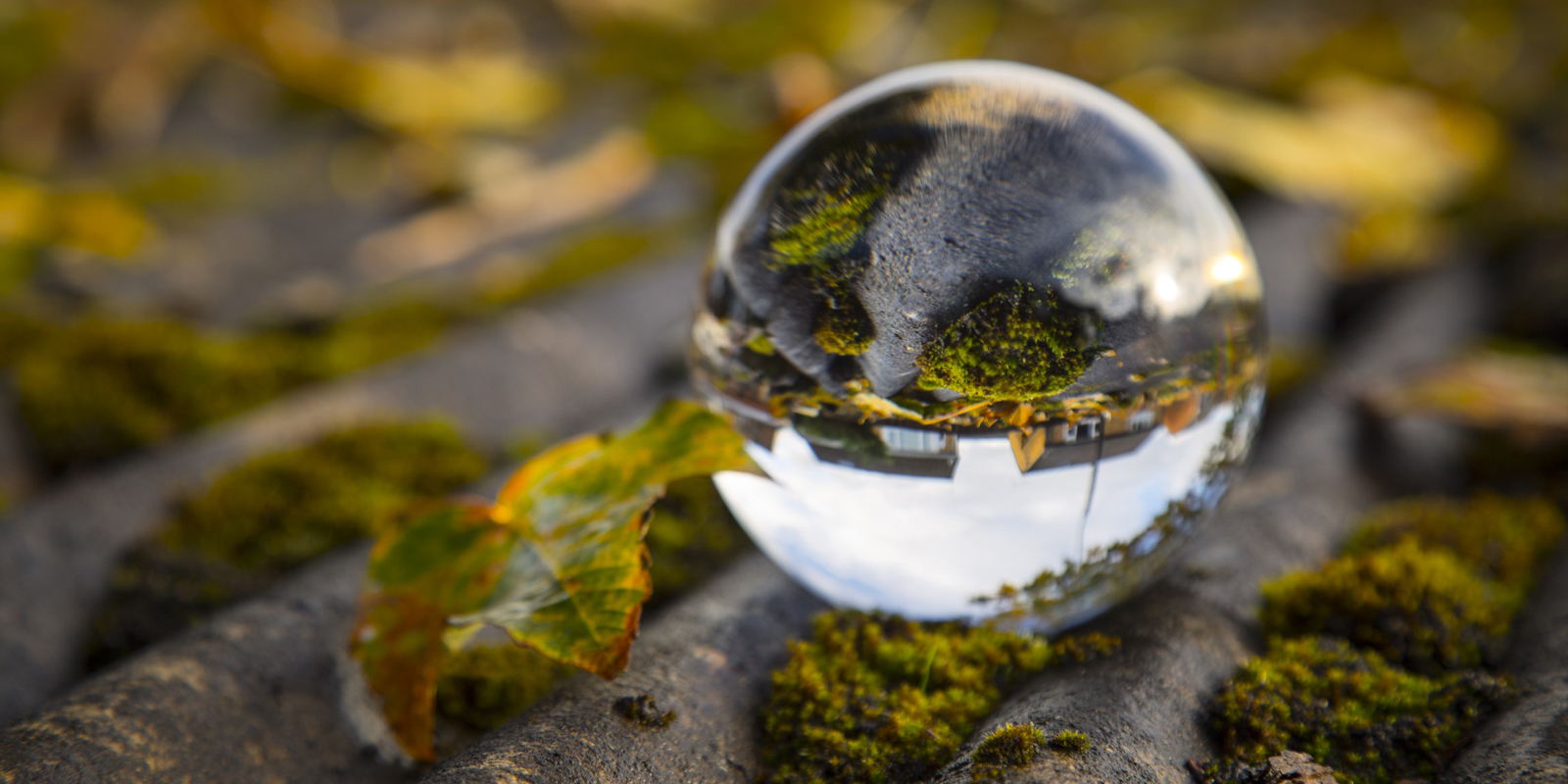 Forecasting in CRM