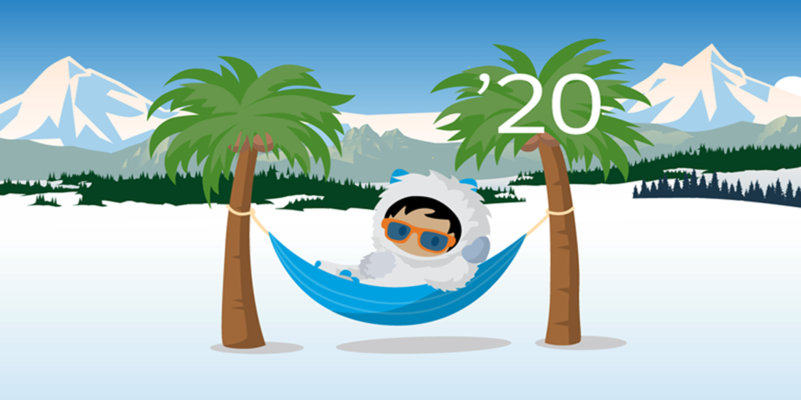 Salesforce Winter 20