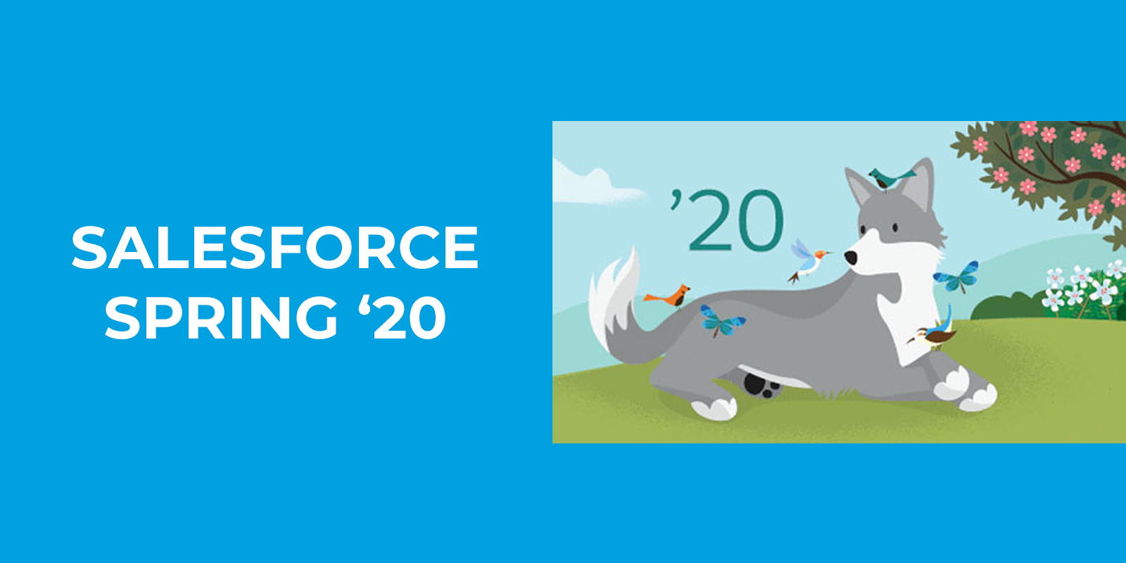 Salesforce Spring ’20 Release