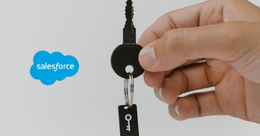 Salesforce Data Secuirty Rolustech