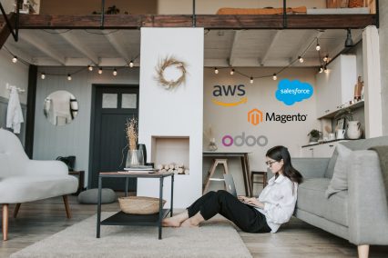 How to Work with Remote Developers