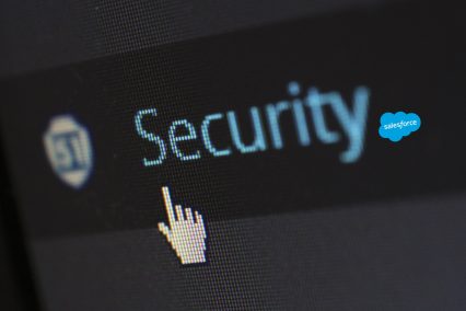 Basics of Securing Salesforce Application