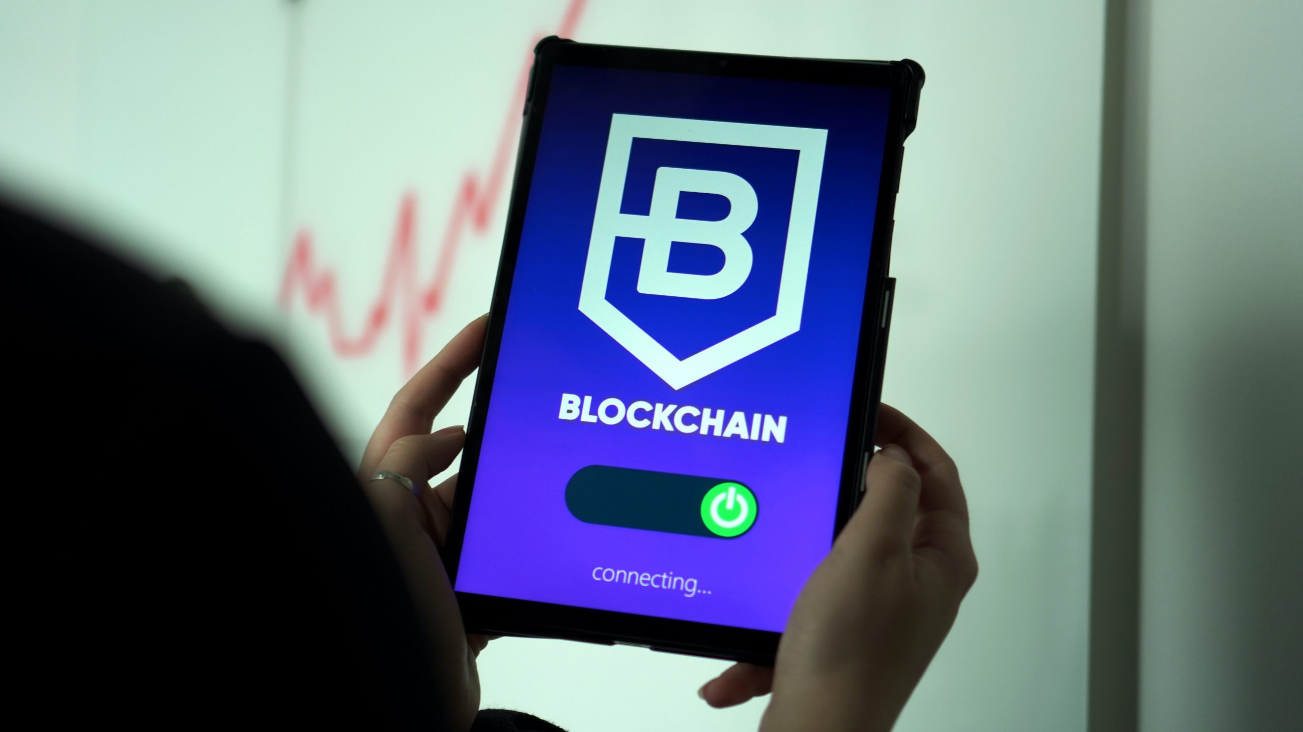 Blockchain Security