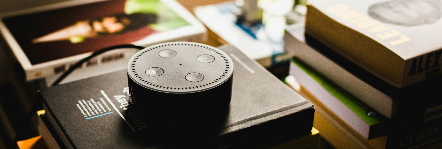 Custom Alexa Skill Development Alexa Skill Set Experts